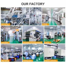 China DONGGUAN SEALAND PACKAGING BAG CO., LTD Fabrik