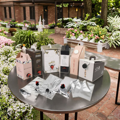 Maßgeschneiderte BIB-Taschen in Karton mit Zubehörhahn, ideal für die Verpackung von Wein, Saft, Öl und anderen flüssigen Produkten