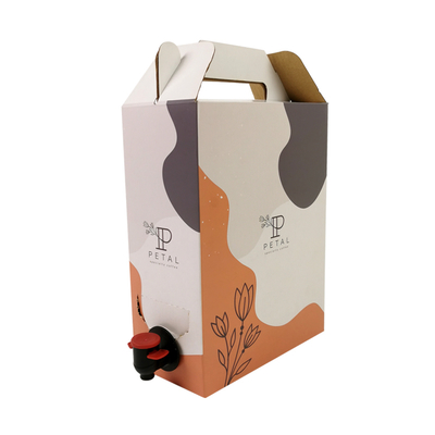 1L/2L/3L Individuelle Kaffee-Box Einweg-Kaffeebeutel in Box mit Ventil-Spender