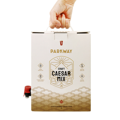 Kundenspezifische 1L 1,5L 2 Liter 3L 5L 96OZ BIB BEUTEL Einwegbeutel in Box TeeSaft Kaffee To Go Papierbox-Verpackung mit Spender
