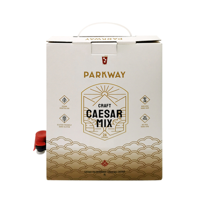 Kundenspezifische 1L 1,5L 2 Liter 3L 5L 96OZ BIB BEUTEL Einwegbeutel in Box TeeSaft Kaffee To Go Papierbox-Verpackung mit Spender
