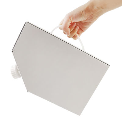 1L 3L 5L Kraftpapier Kaffee Box BIB Beutel in Kaffee Box Einweg Kaffee Beutel in Box Mit Ventil Flüssigkeitsspender