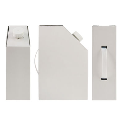 1L 3L 5L Kraftpapier Kaffee Box BIB Beutel in Kaffee Box Einweg Kaffee Beutel in Box Mit Ventil Flüssigkeitsspender