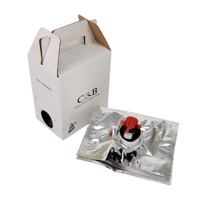 Einfacher Dispenser-Beutel im Karton mit Ausgießer und ohne Griff für vielseitige Verpackungen