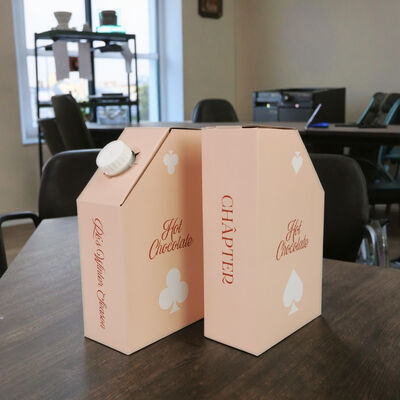 ISO SGS Zertifizierte Bag-in-Box-Verpackung mit individuellem Druck, quadratisch und rechteckig, sichere Flüssigkeitslagerungslösungen